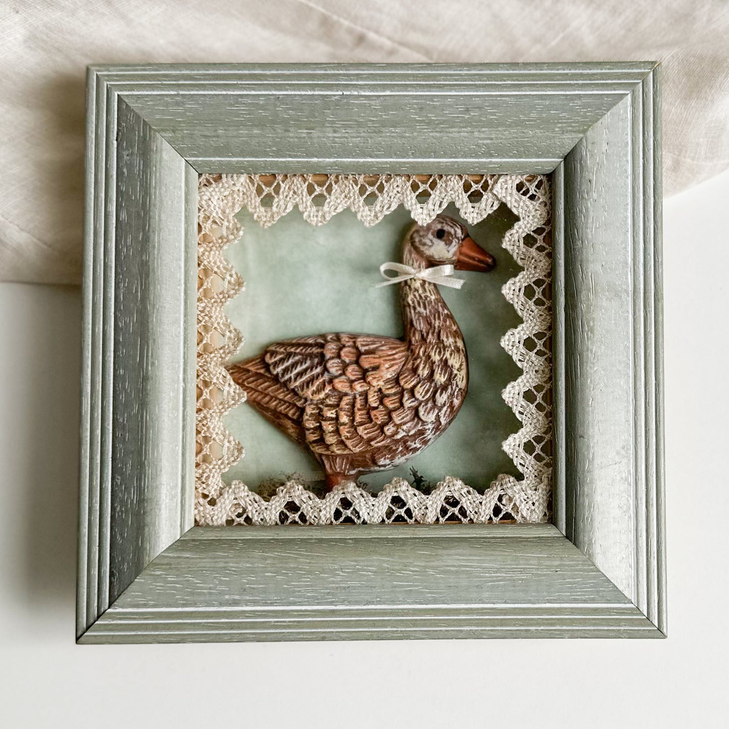 Goose / Duck Shadow Box