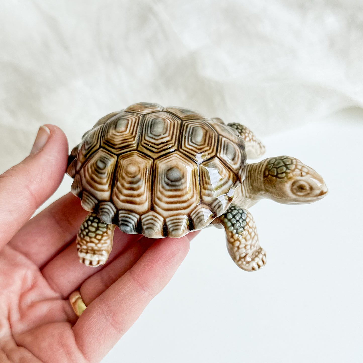 Wade Whimsies Turtle Box