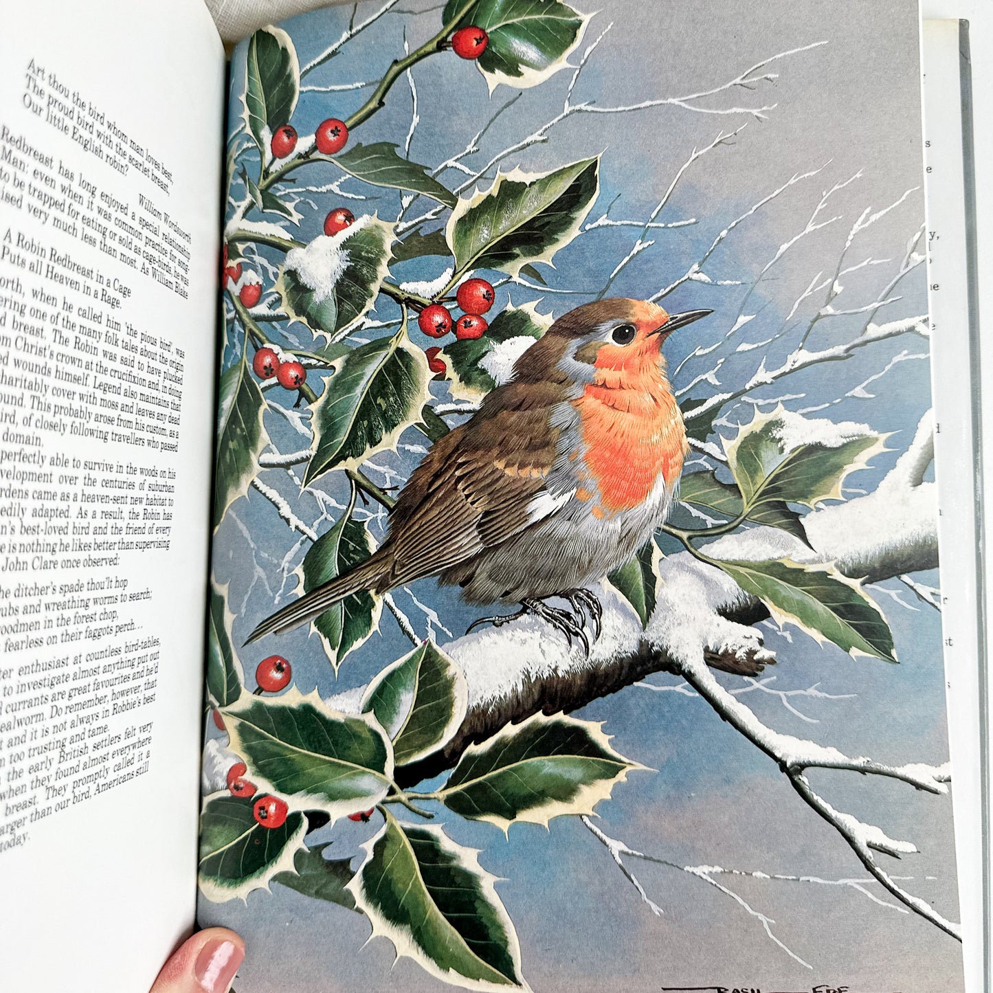 “Basil Ede’s Birds” Illustrated Book