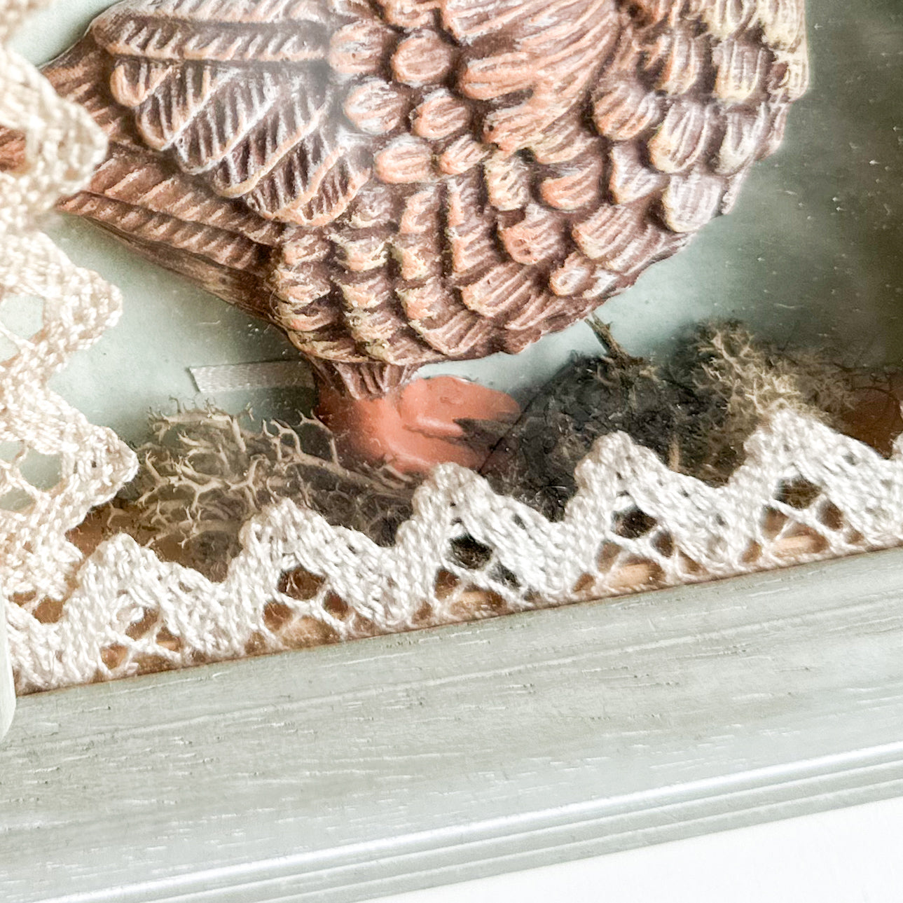 Goose / Duck Shadow Box