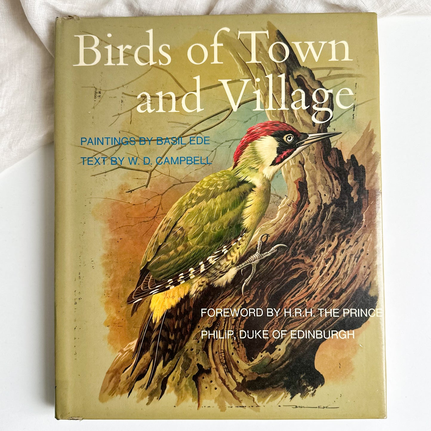 “Birds of Town and Village” Illustrated Book