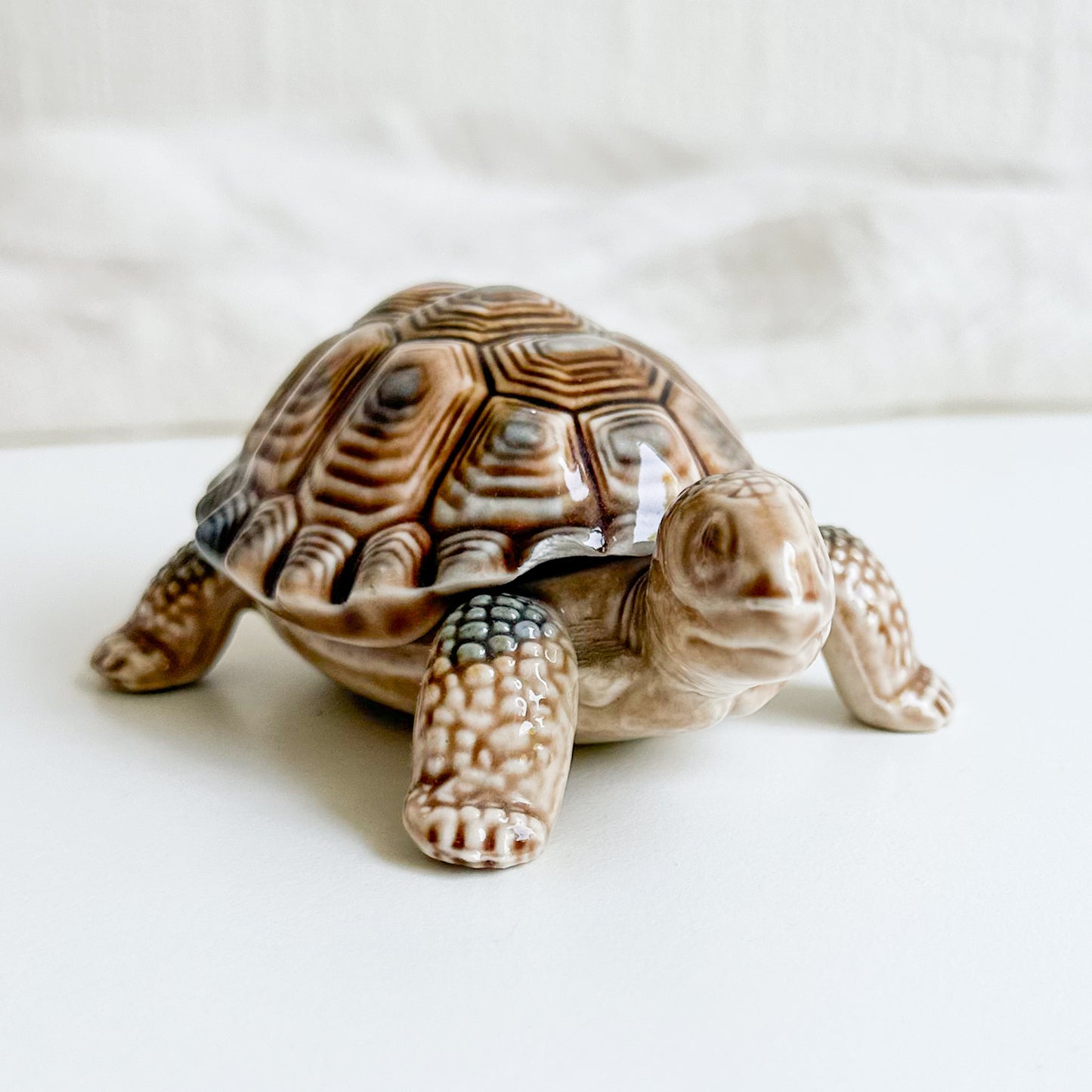 Wade Whimsies Turtle Box