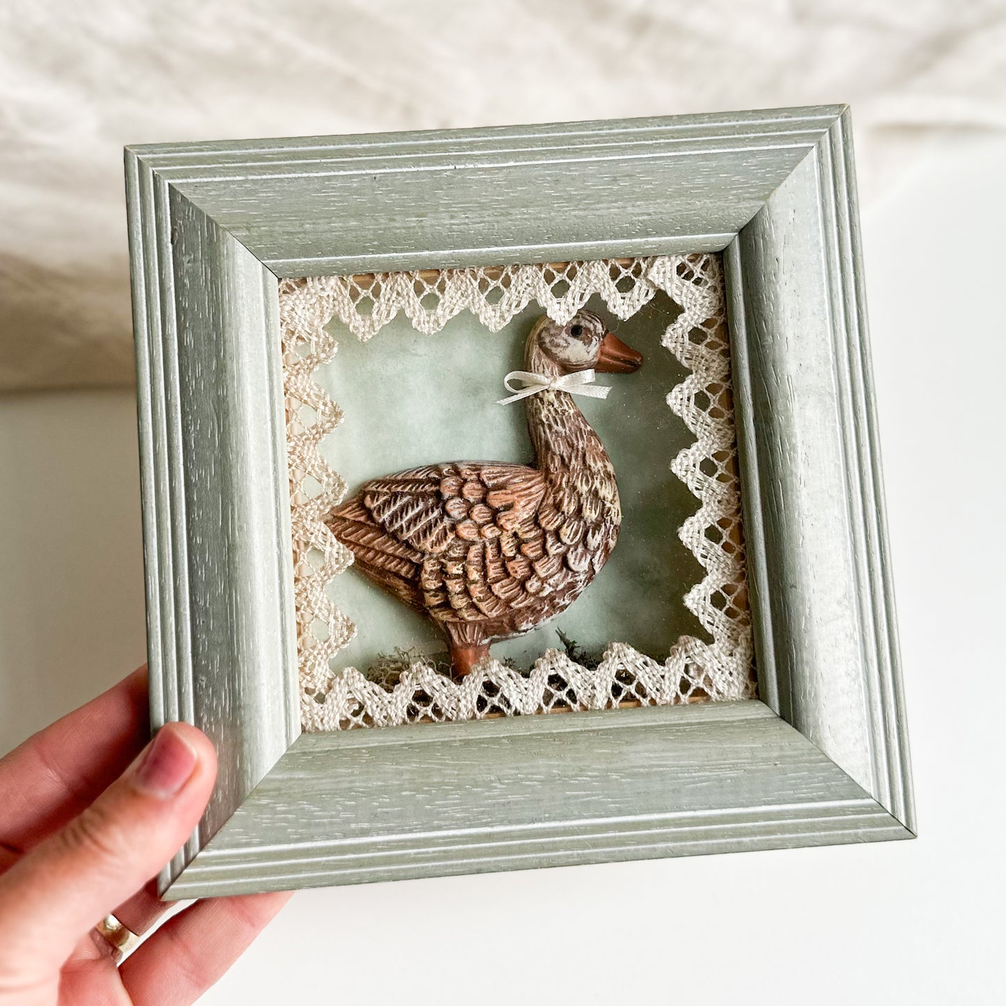 Goose / Duck Shadow Box