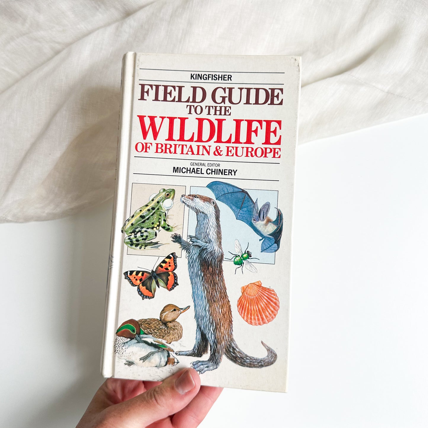 Field Guide to the Wildlife